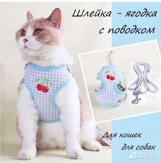 Шлейка для кошки и собак