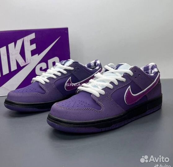 Nike Concepts x Dunk Low SB 'Purple Lobster'