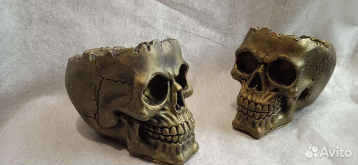 Череп набор