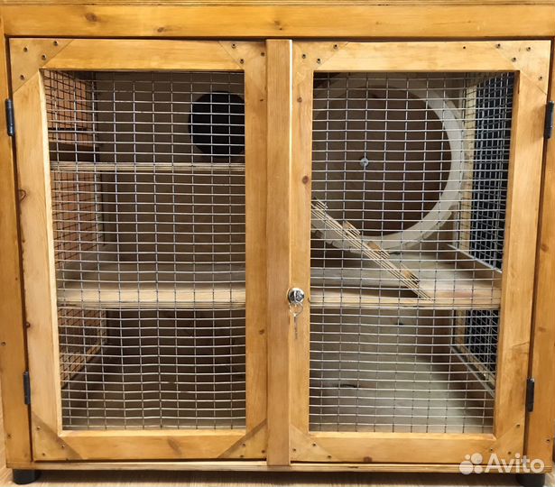 Клетка витрина для дегу