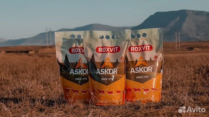 Премикс П1-1 для племенных кур-несушек