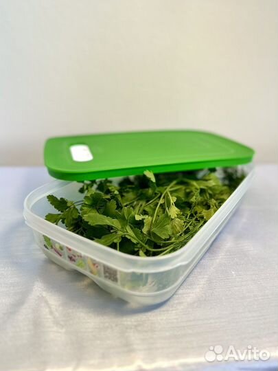 Контейнер «Умный холодильник» Tupperware