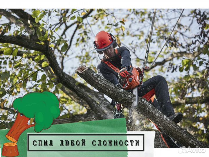 Спил деревьев Обрезка / вырубка / удаление