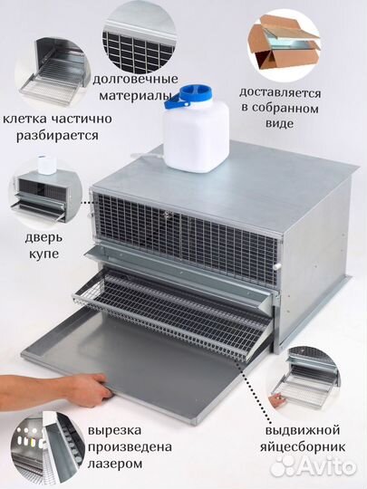 Закрытая клетка для перепелов из металла