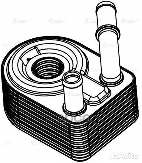 LOC 1006 luzar Радиатор масл. Ford Focus III (1
