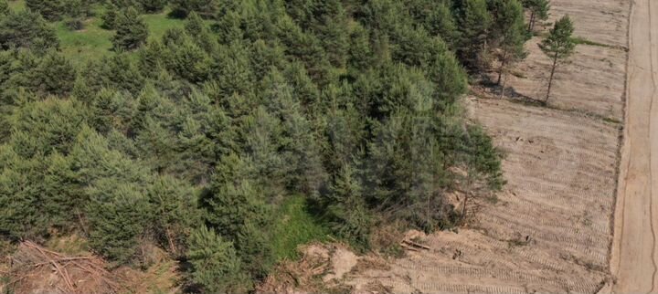 Участок 87 сот. (СНТ, ДНП)