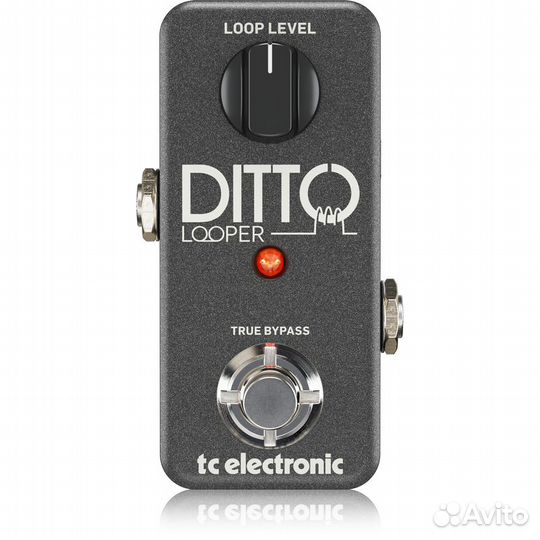 Педаль-лупер для гитары TC electronic ditto looper