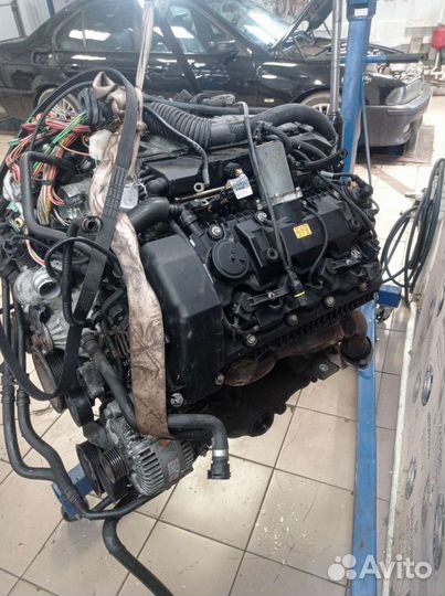 Двигатель (двс) N62B44 на BMW