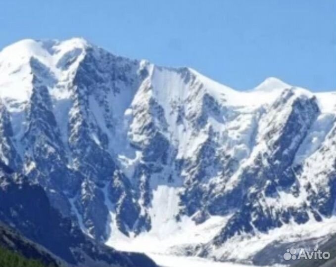 Туры на алтай