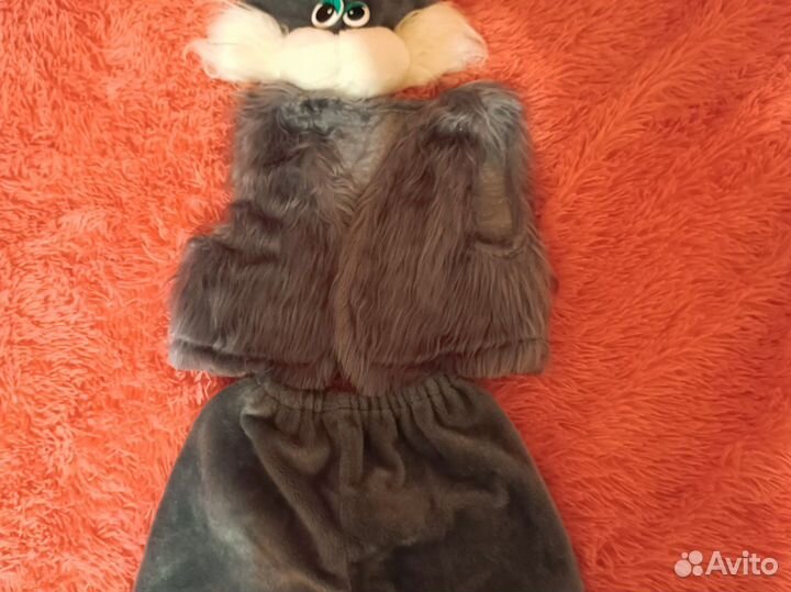 Сдам в прокат костюм кота
