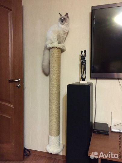 Когтеточка