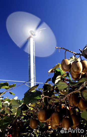 Вентилятор для обогрева сада