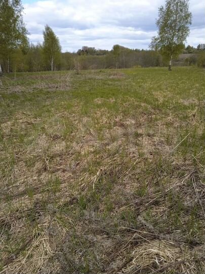 Участок 15 сот. (ИЖС)