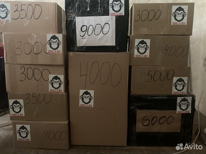 Master box Mystery Box Master Box