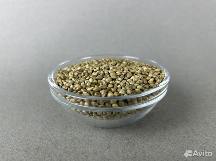 Конопляное семена