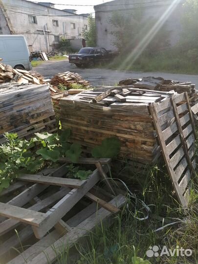 Дрова березовые