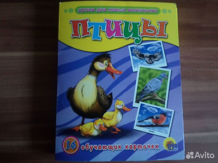 Обучающие карточки для детей