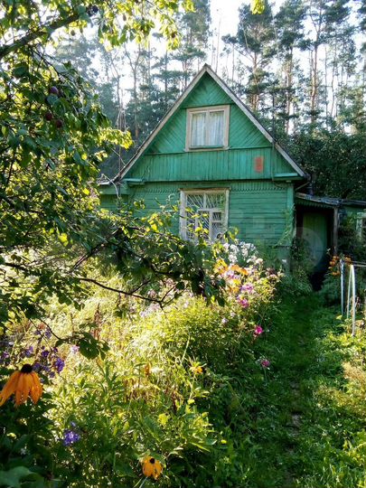 Участок 10 сот. (СНТ, ДНП)