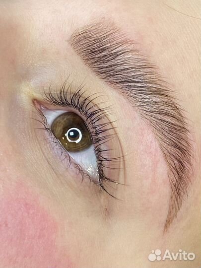 Нужны модели (действующий мастер)