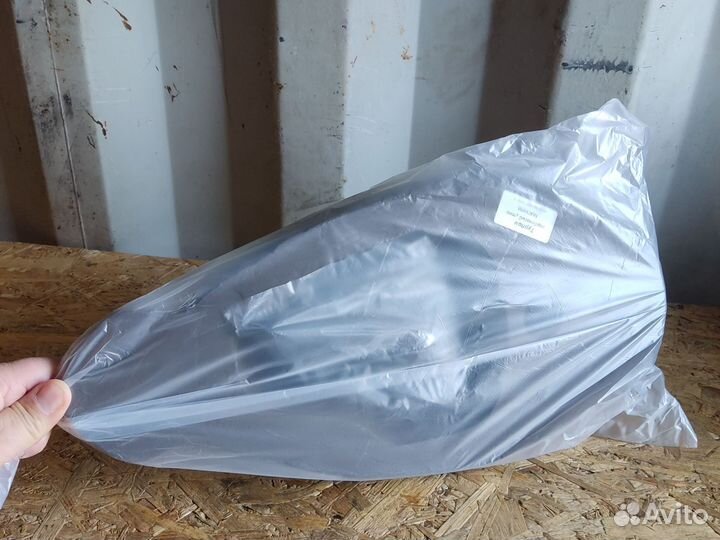 Чучела Турпан горбоносый