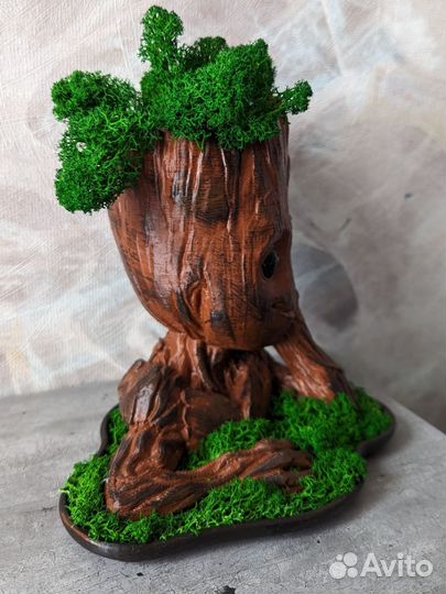 Кашпо со мхом