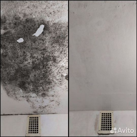 Дезинфекция Уничтожение обработка тараканов клопов