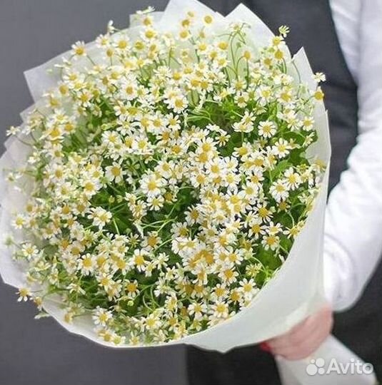 Ромашки Букет из ромашек доставка