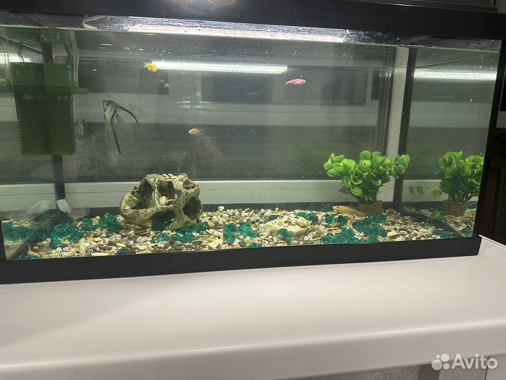 Аквариум