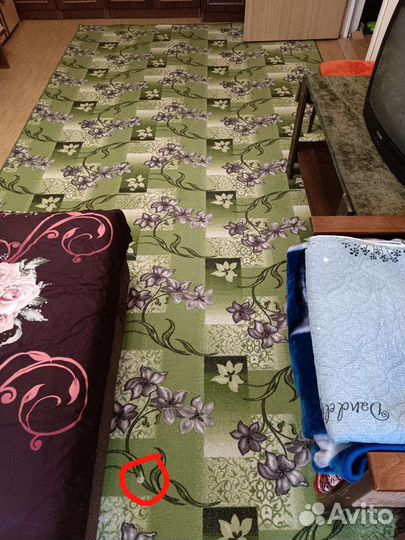 Ковры и паласы бу