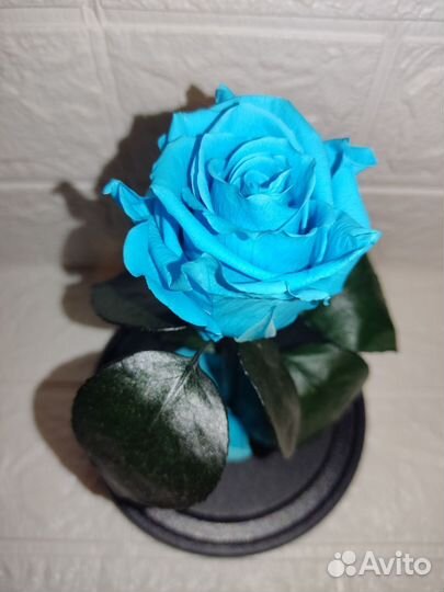 Роза в колбе отличный вариант подарка