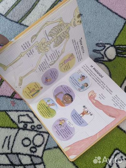 Секреты человека книга с окошками