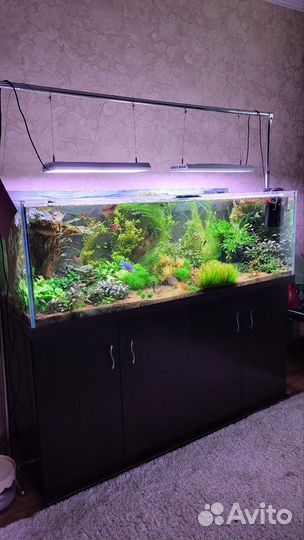 Аквариум с тумбой 375 литров