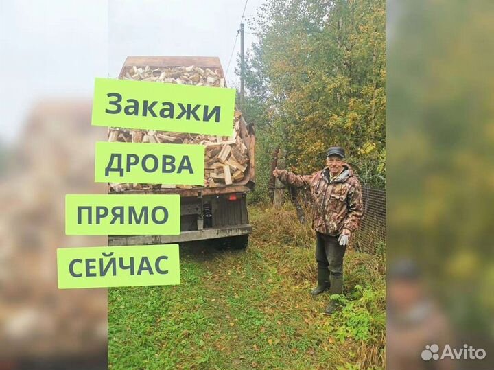 Дрова Качественные