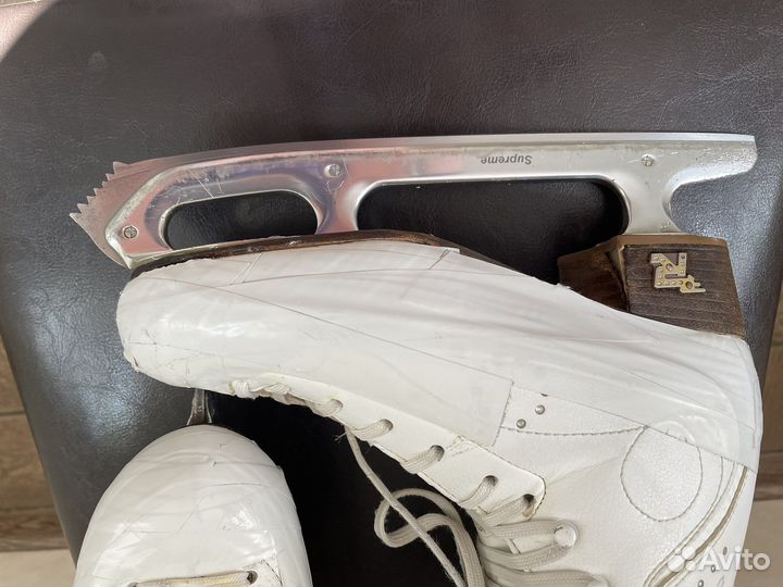 Risport royal elite 240