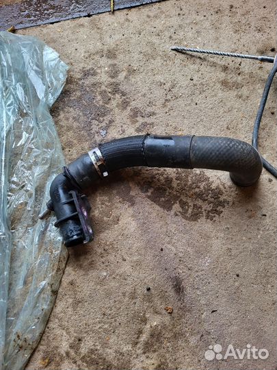 Патрубок радиатора верхний Toyota Rav4