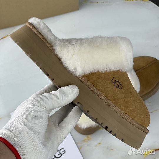 Ugg Slippers Scuffette Platform Chestnut тапки