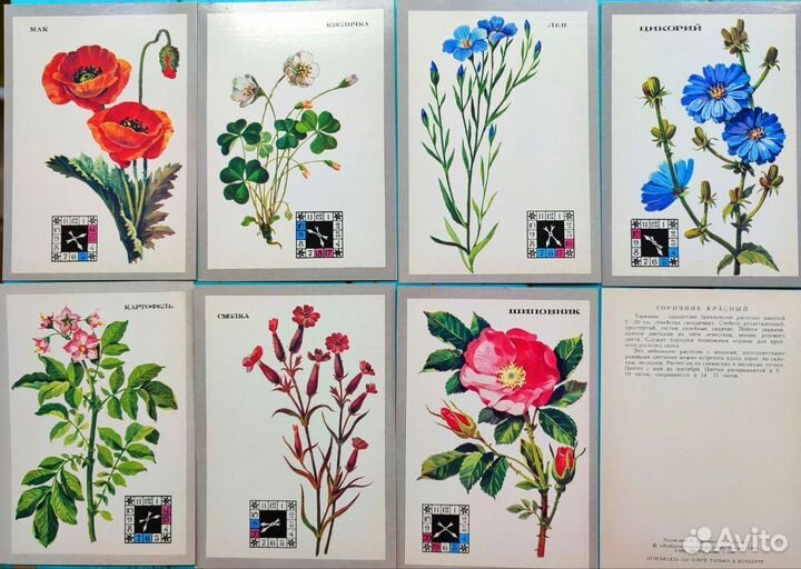 Открытки ботанические цветы, растения
