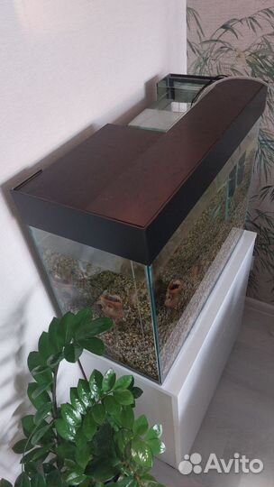 Аквариум с рыбками 70 литров