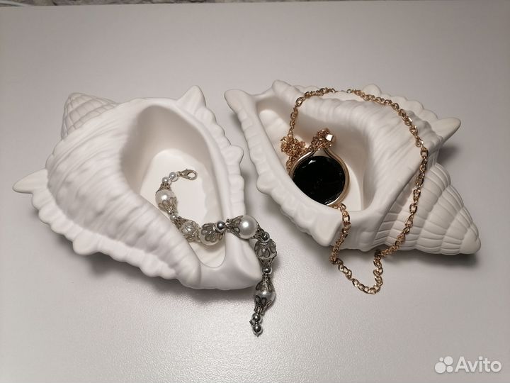 Ракушка из гипса