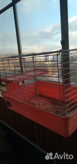 Клетка для домашнего кролика и морских свинок