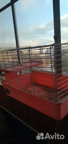 Клетка для домашнего кролика и морских свинок