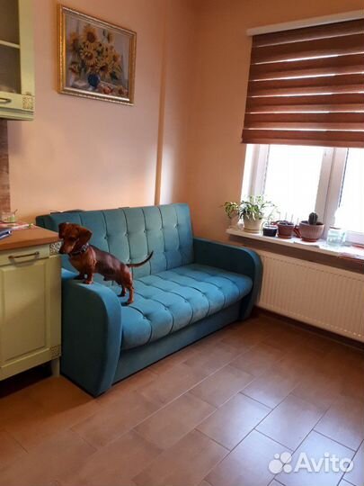 Такса. Вязка