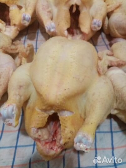 Мясо домашней птицы