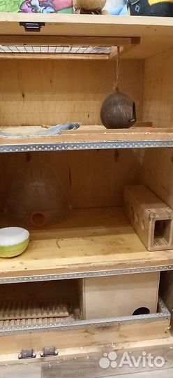 Клетка/витрина для дегу/шиншилы