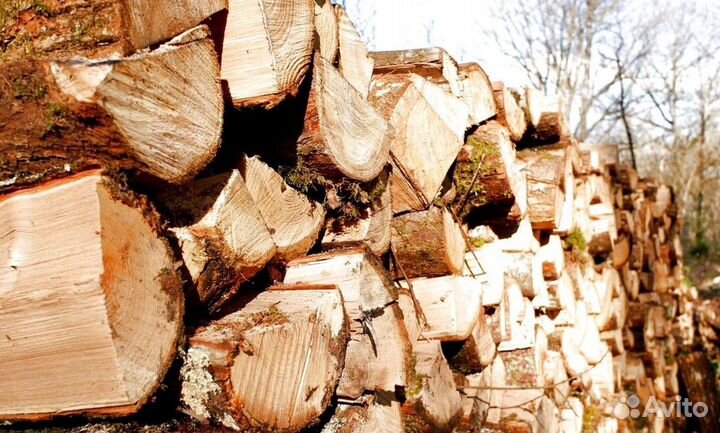 Дрова в баню на дачу