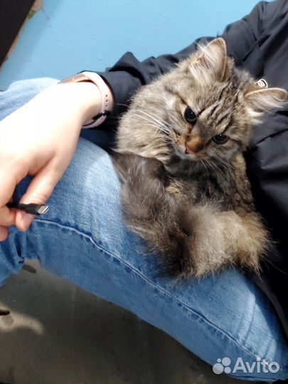 Помогите найти дом