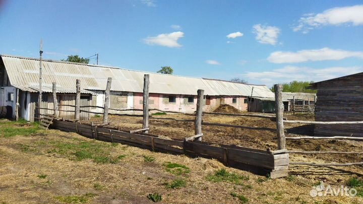 Животноводческая ферма продаю