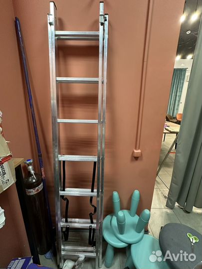 Леница многопозиционная