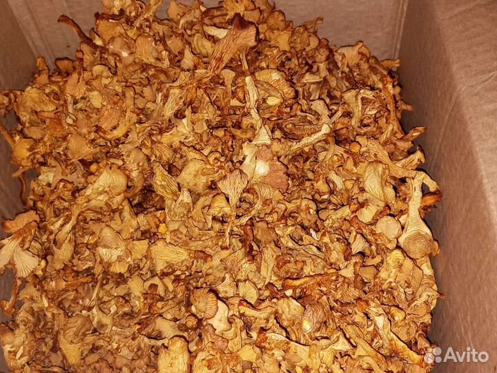 Лисички. Грибы Сушеные