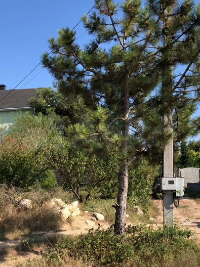 Участок 4 сот. (СНТ, ДНП)